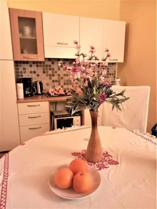 Il Nido Di Santa Croce Apartment Florence Italy